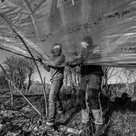 Montage de serres tunnel
