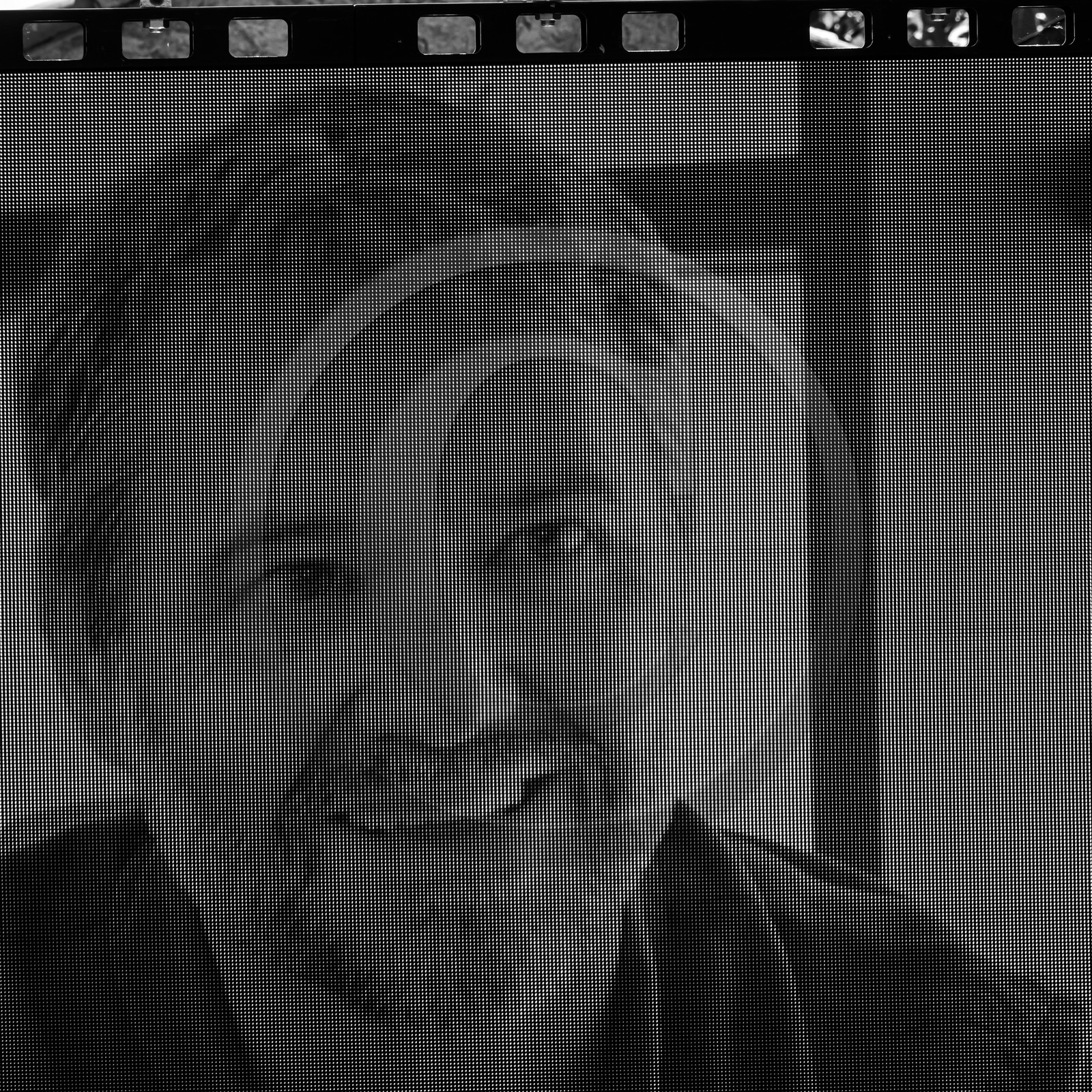 Franck Bouysse - Rencontres Giono 2021 - Manosque