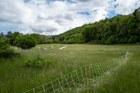 Le Pas du Loup - Le Glaizil -14 mai 2023