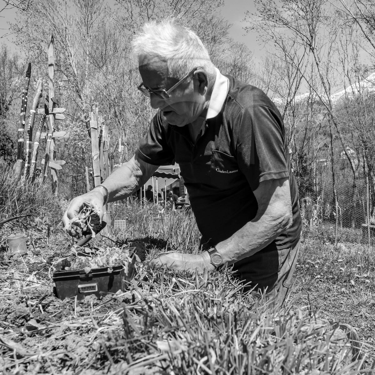 Atelier laine et promenade au jardin