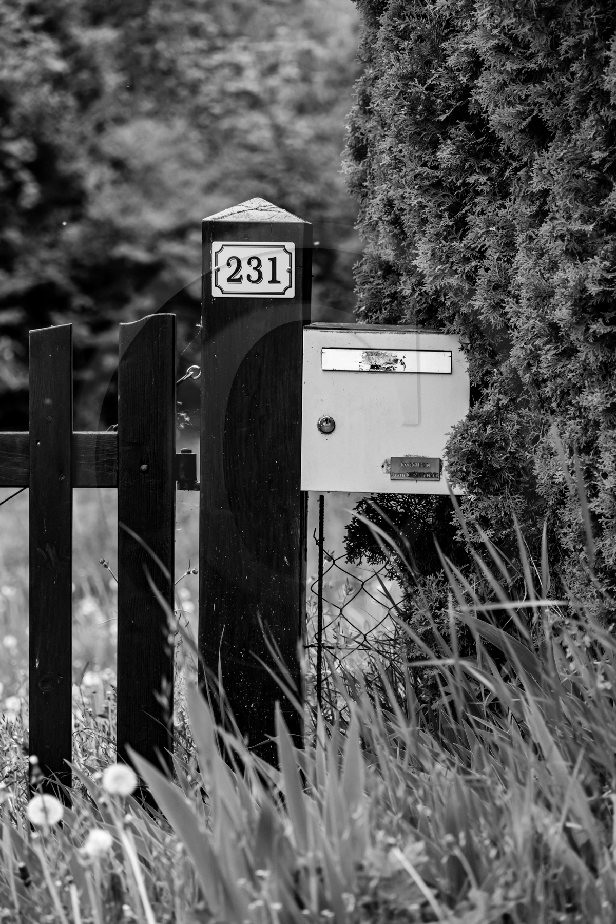 Des chiffres et des lettres