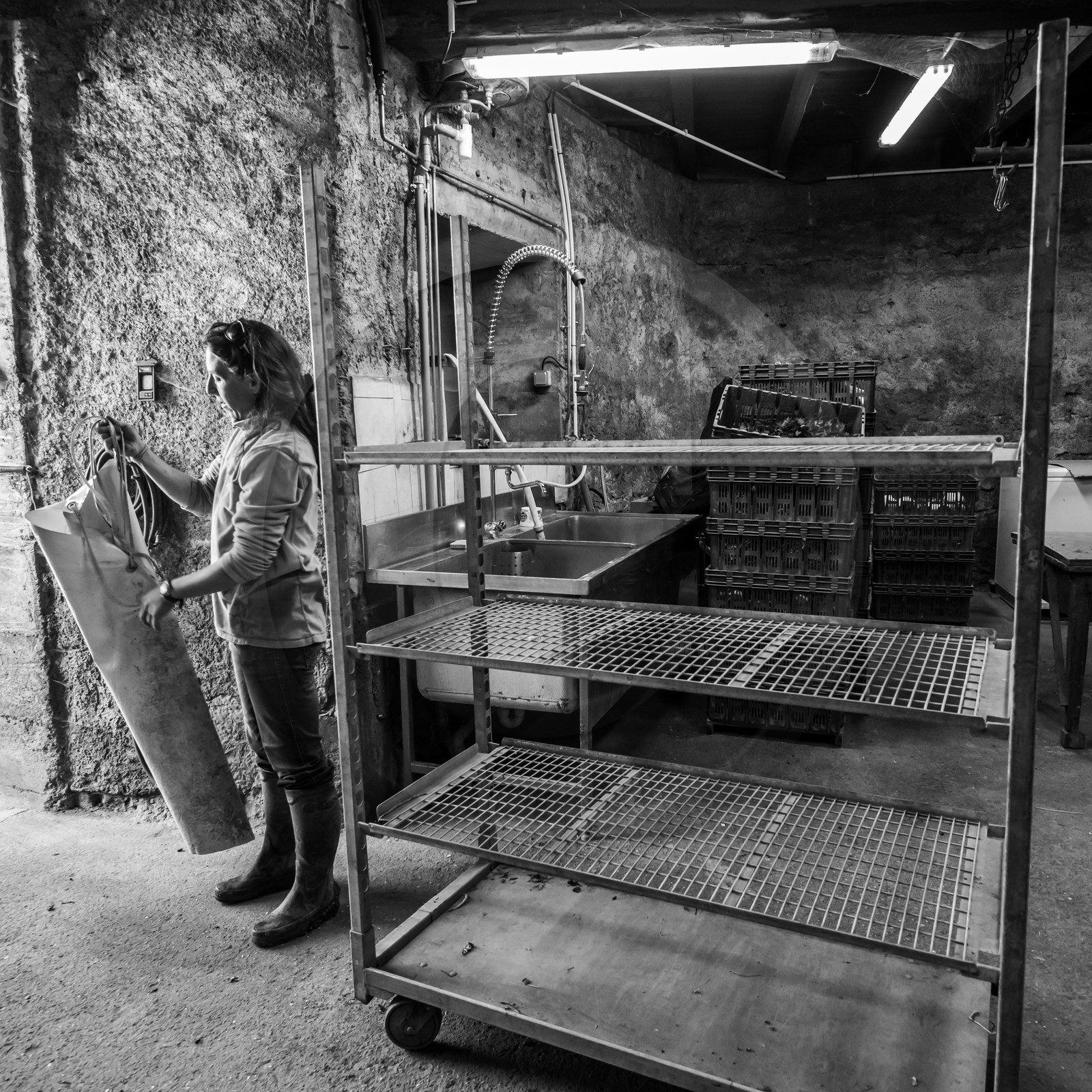 Maraichage biologique dans le Champsaur