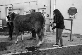 Rencontres paysannes à Saint-Bonnet en Champsaur