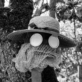 21 juin 2017 - Installation des épouvantails