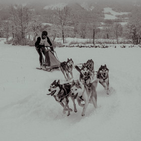 La Valgaude Traineau 2015