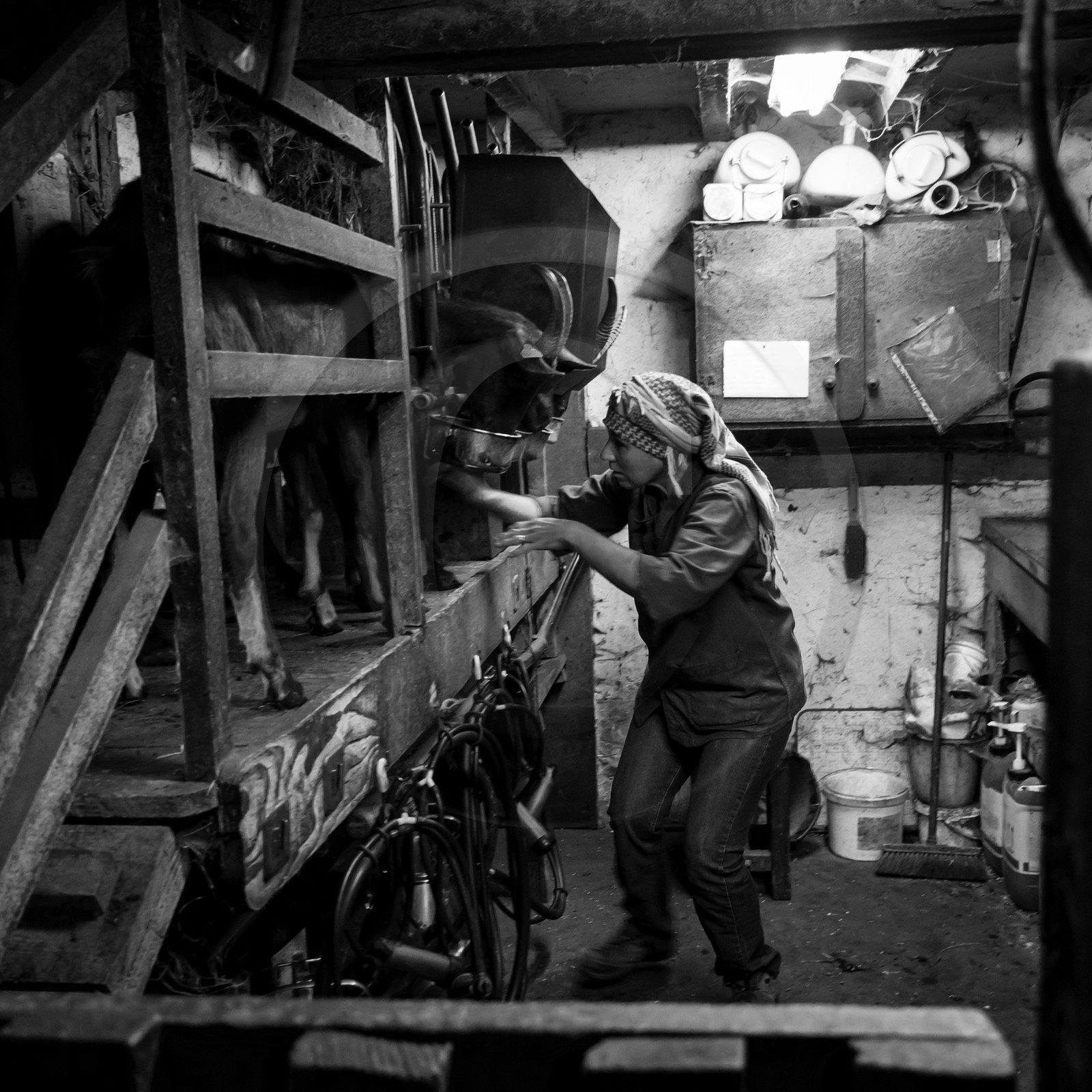 La ferme de Coste Joffre