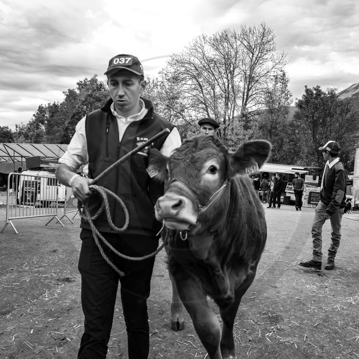 Rencontres paysannes à Saint-Bonnet en Champsaur