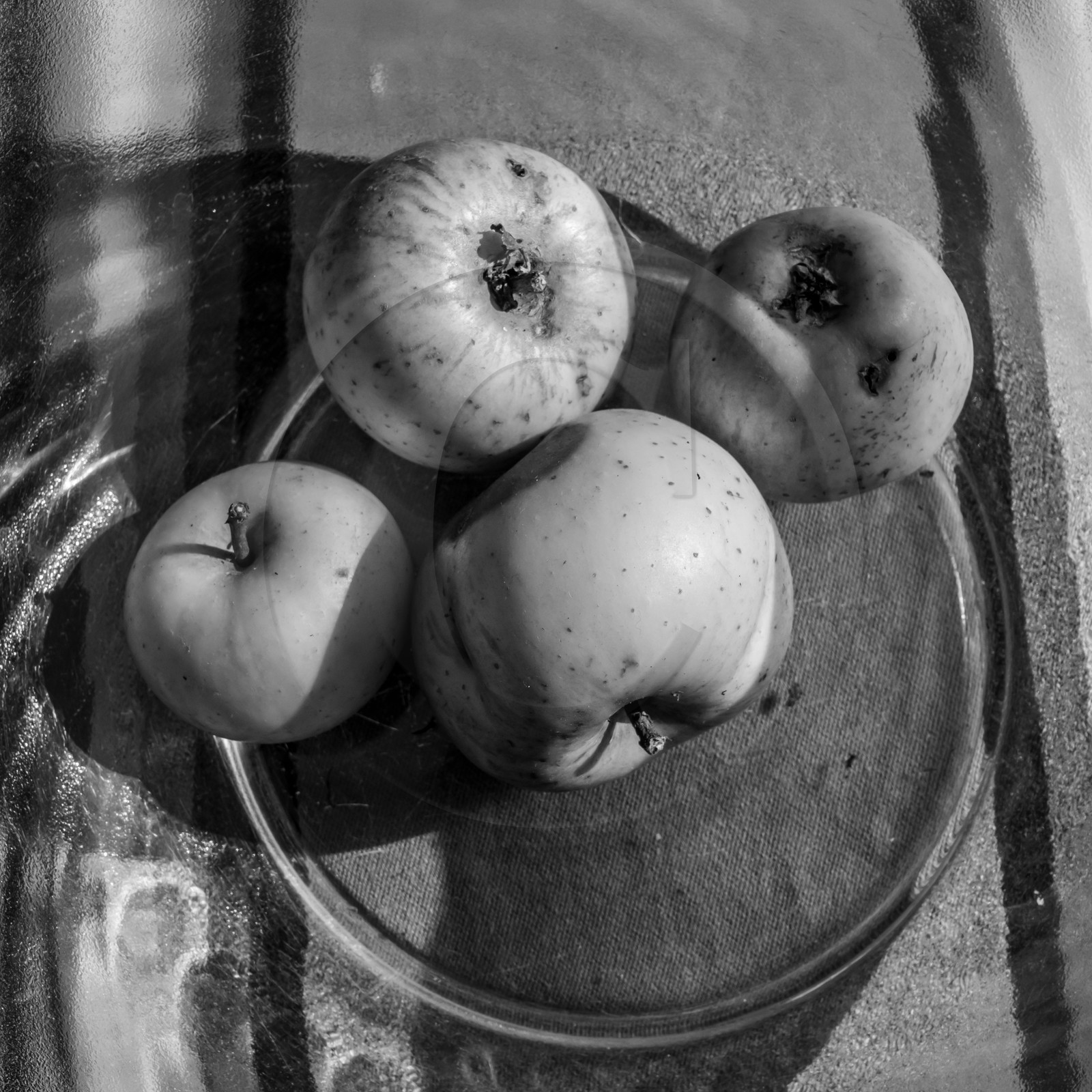 24 octobre 2021 : Fais ta soupe et ramène ta pomme