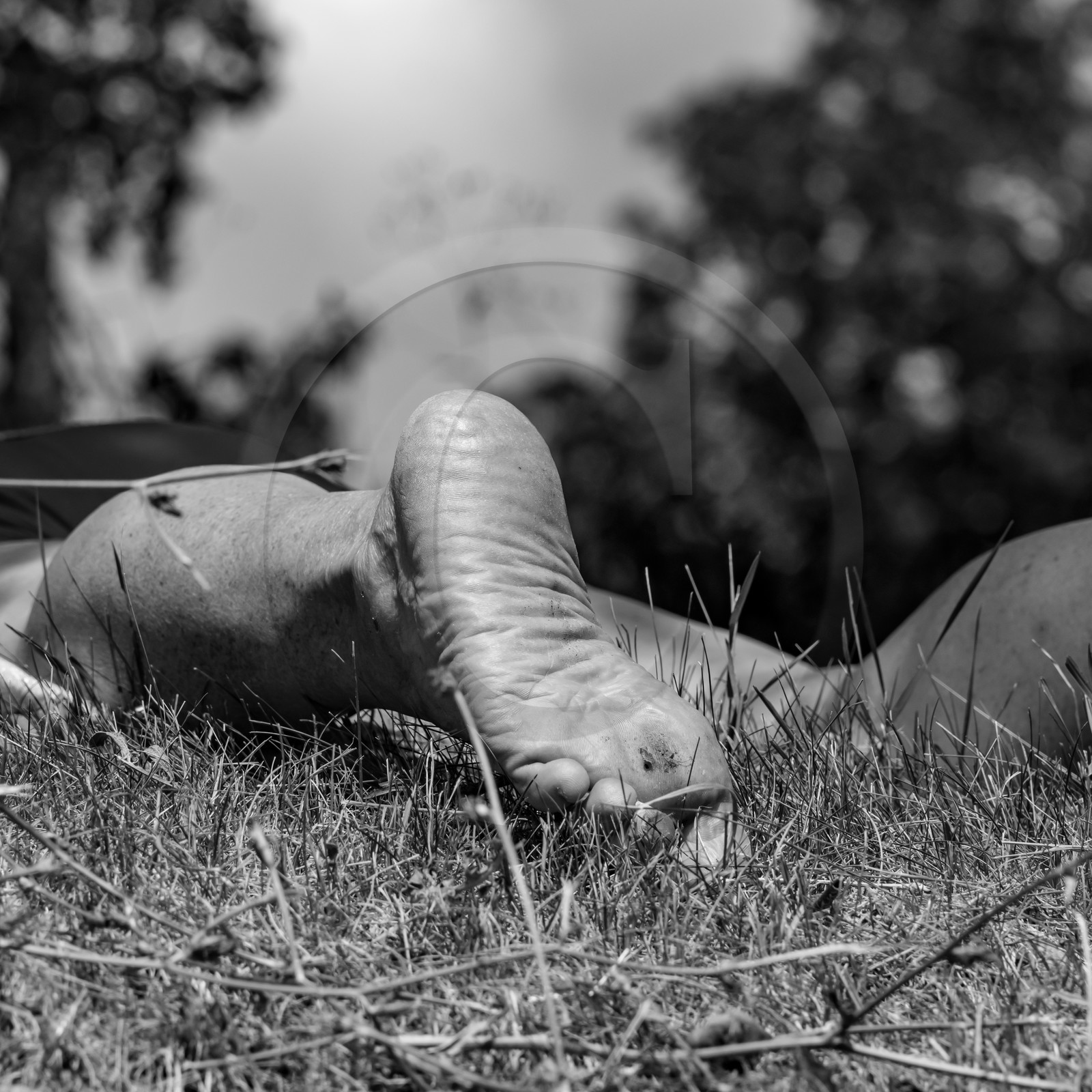 21 juillet 2021 : Sieste musicale avec Matthieu Duval