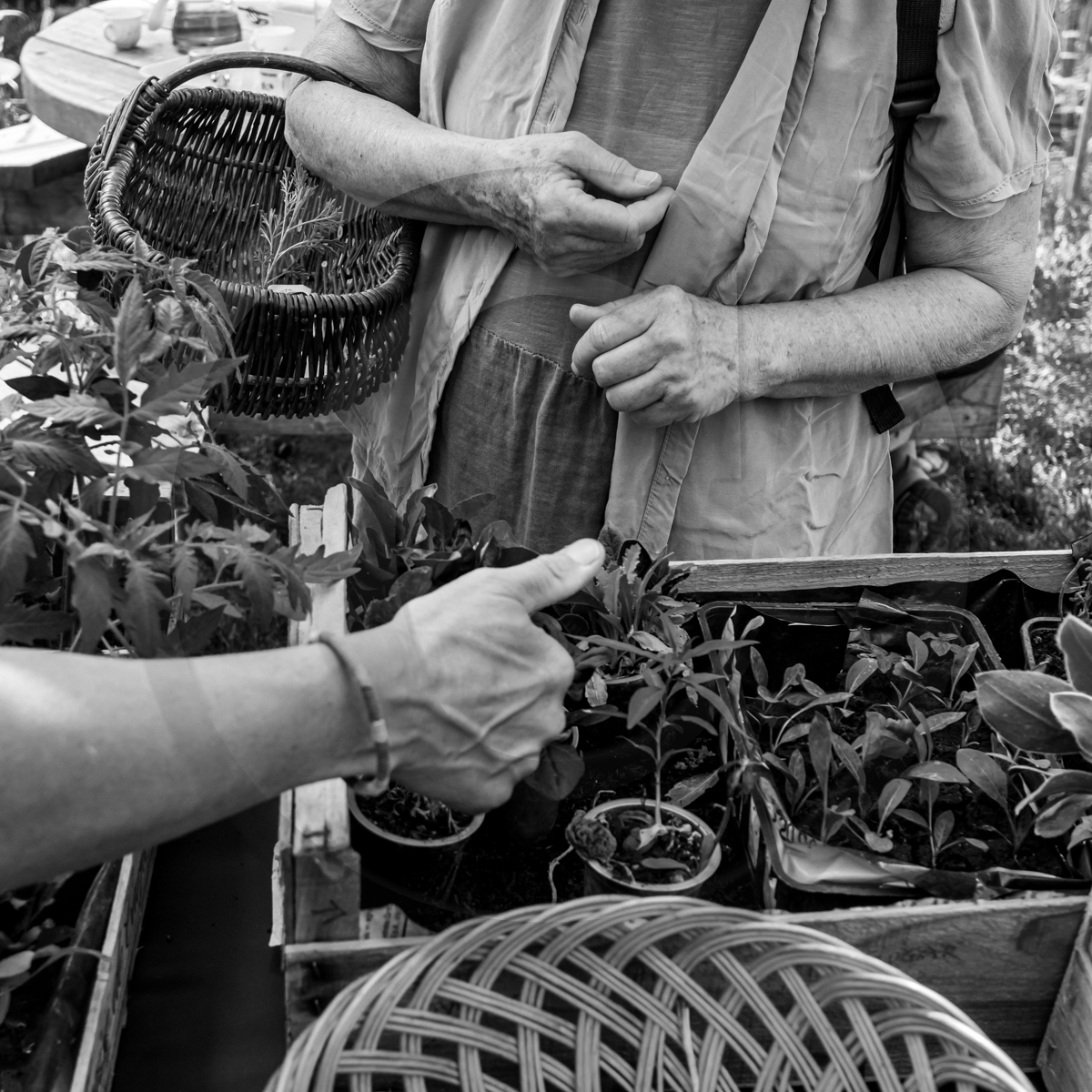 22 mai 2022 : Vide-Jardin