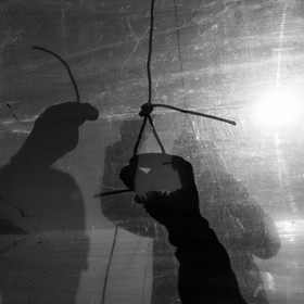 Montage de serres tunnel