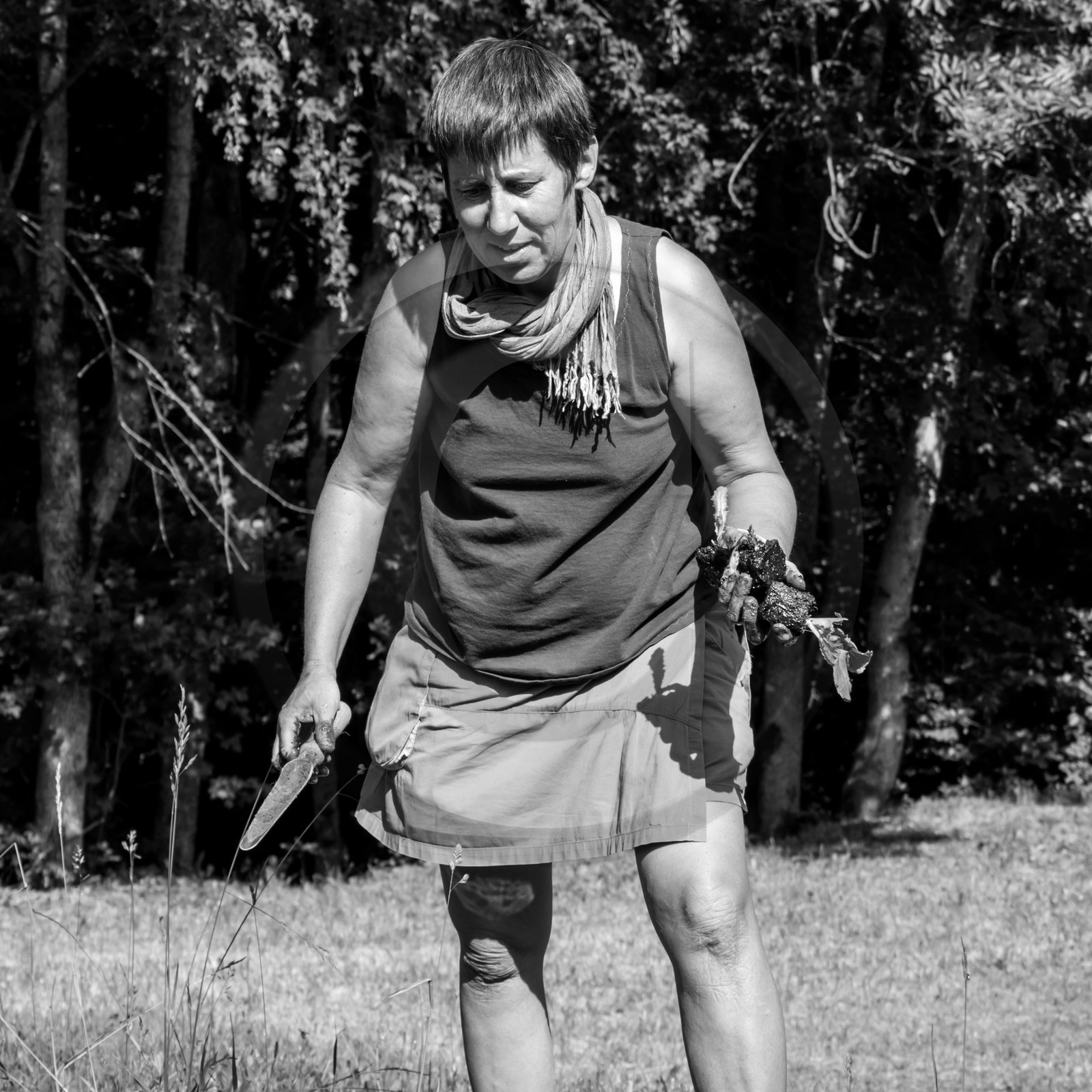 07 juin 2017 - Plantation - Haie - Réunion