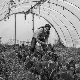 Maraichage biologique dans le Champsaur