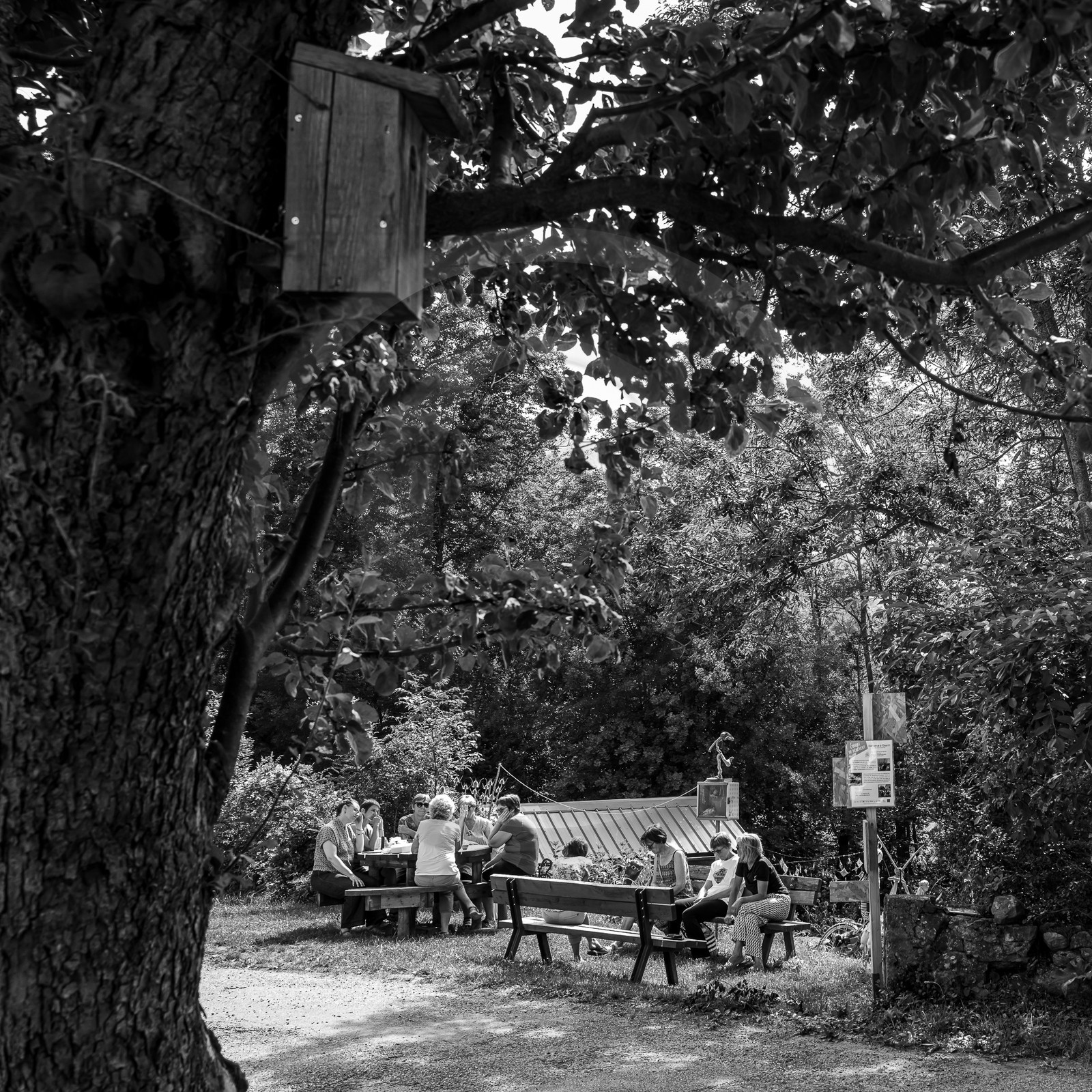 17 juillet 2023 : Journée des aidants et des aidés