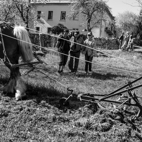 Labour avec un cheval - 17 04 17