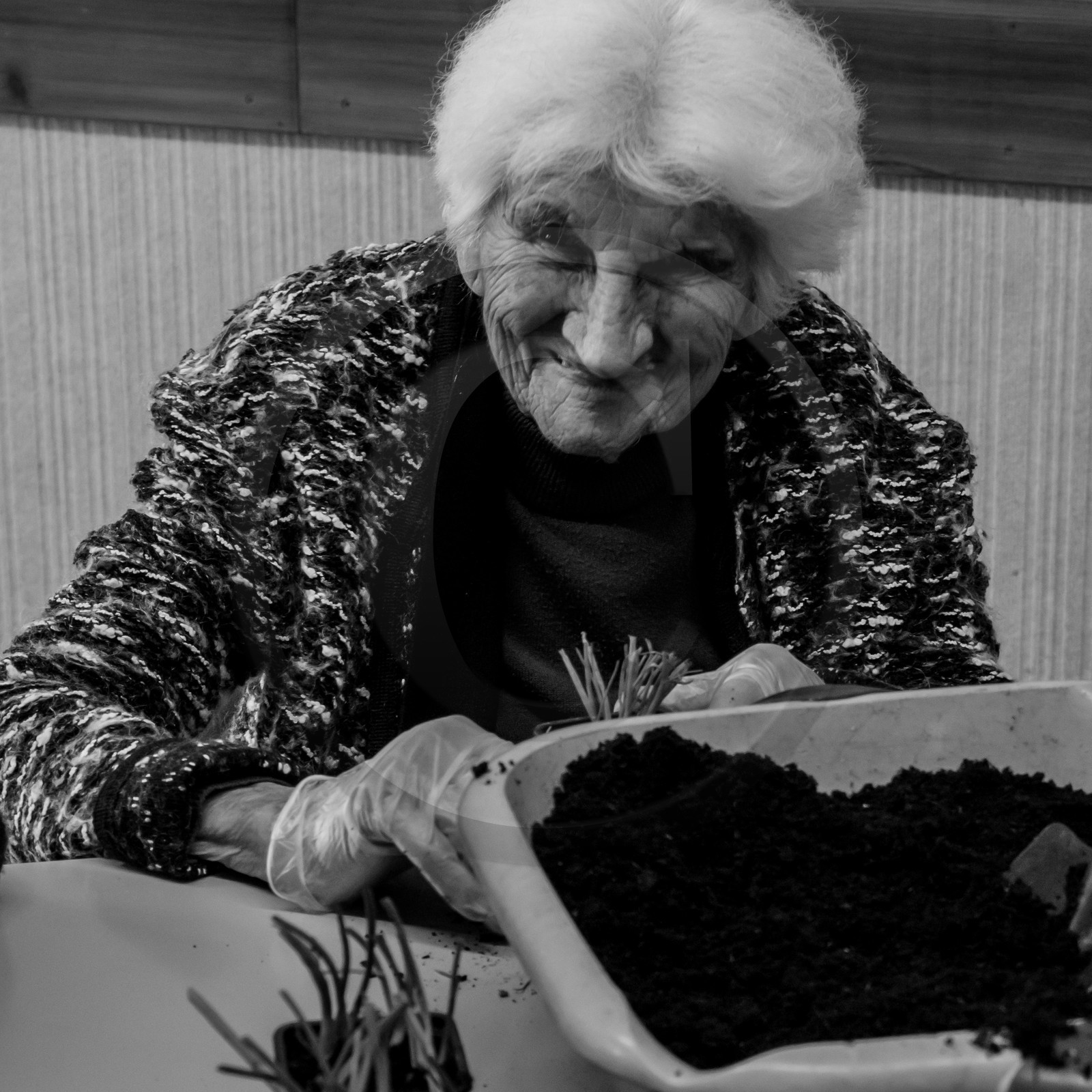 L'Ouort de Bénévent - 05 avril 2017