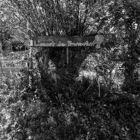 20 mai 2022 : 2ème journée des aidants