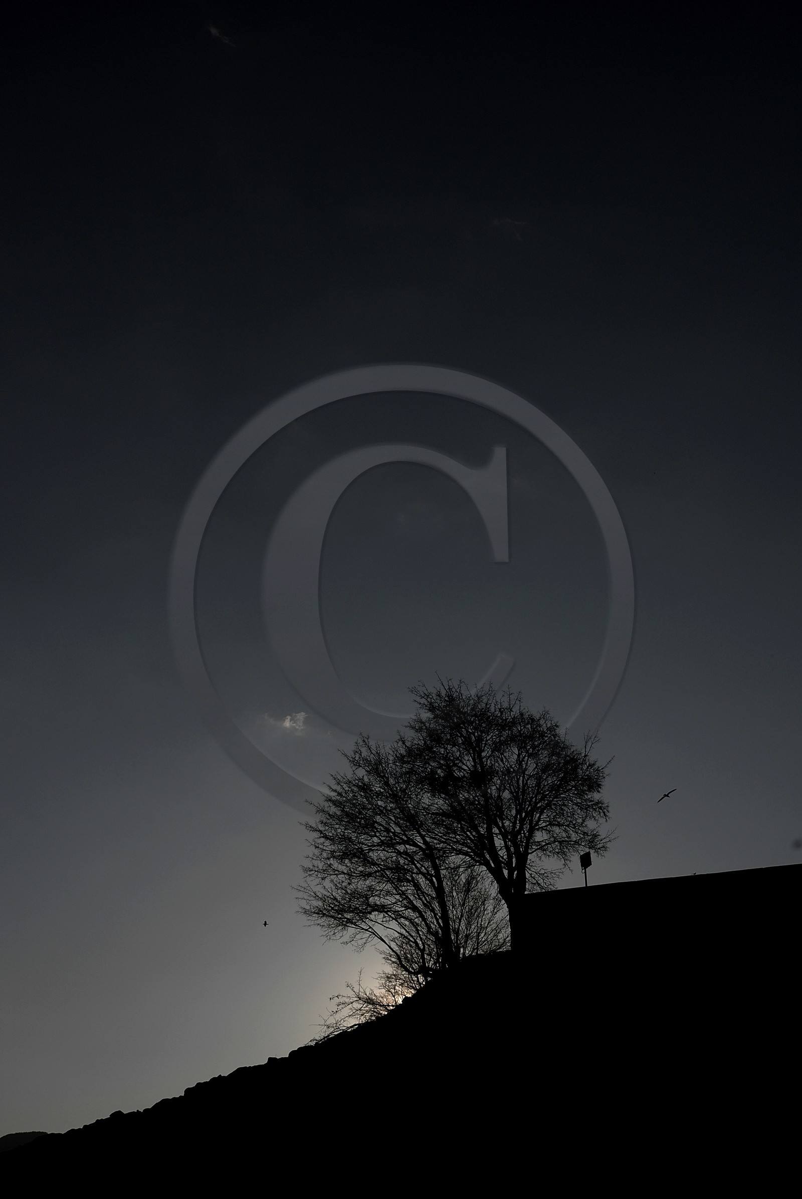 Lac de Serre-Ponçon (Hautes-Alpes   France)