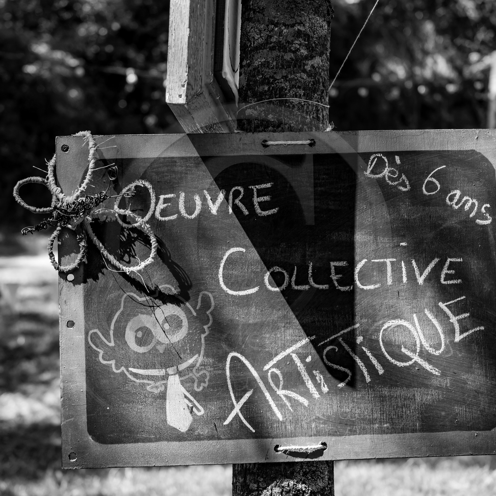 11, 12 et 13 août 2021 : L'Echo des Mots