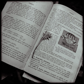 Une maison abandonnée à Saint-Julien-en-Champsaur