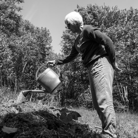 07 juin 2017 - Plantation - Haie - Réunion