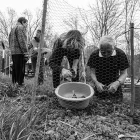 20 avril 2022 : des contes, des pommes de terre et un petit café