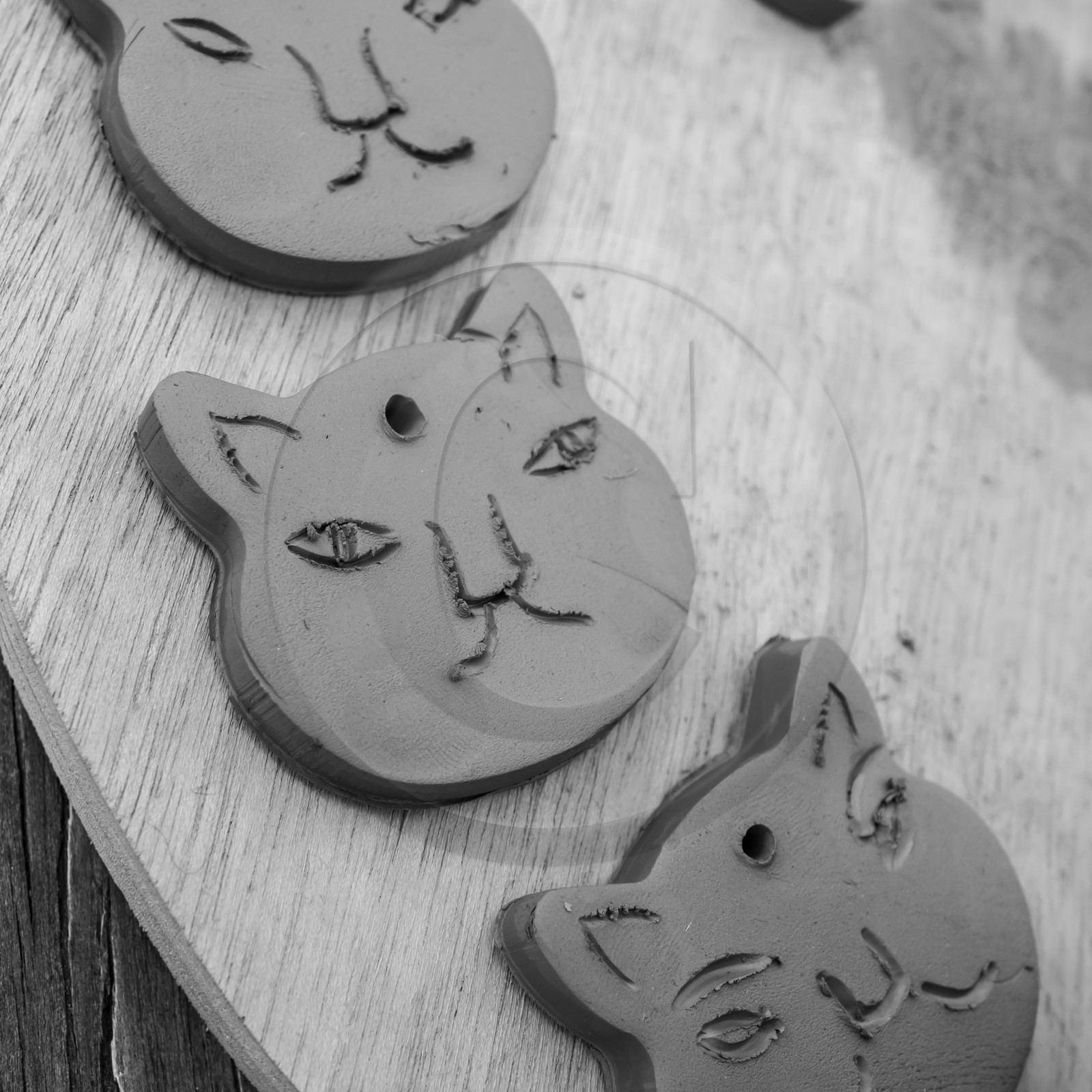 31 mai 2021 : Journée des aidants