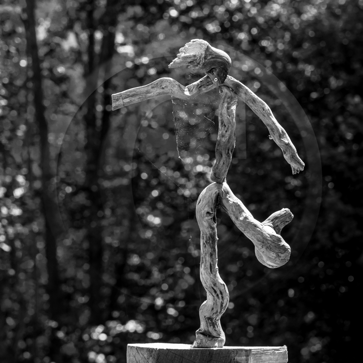 20 mai 2022 : 2ème journée des aidants