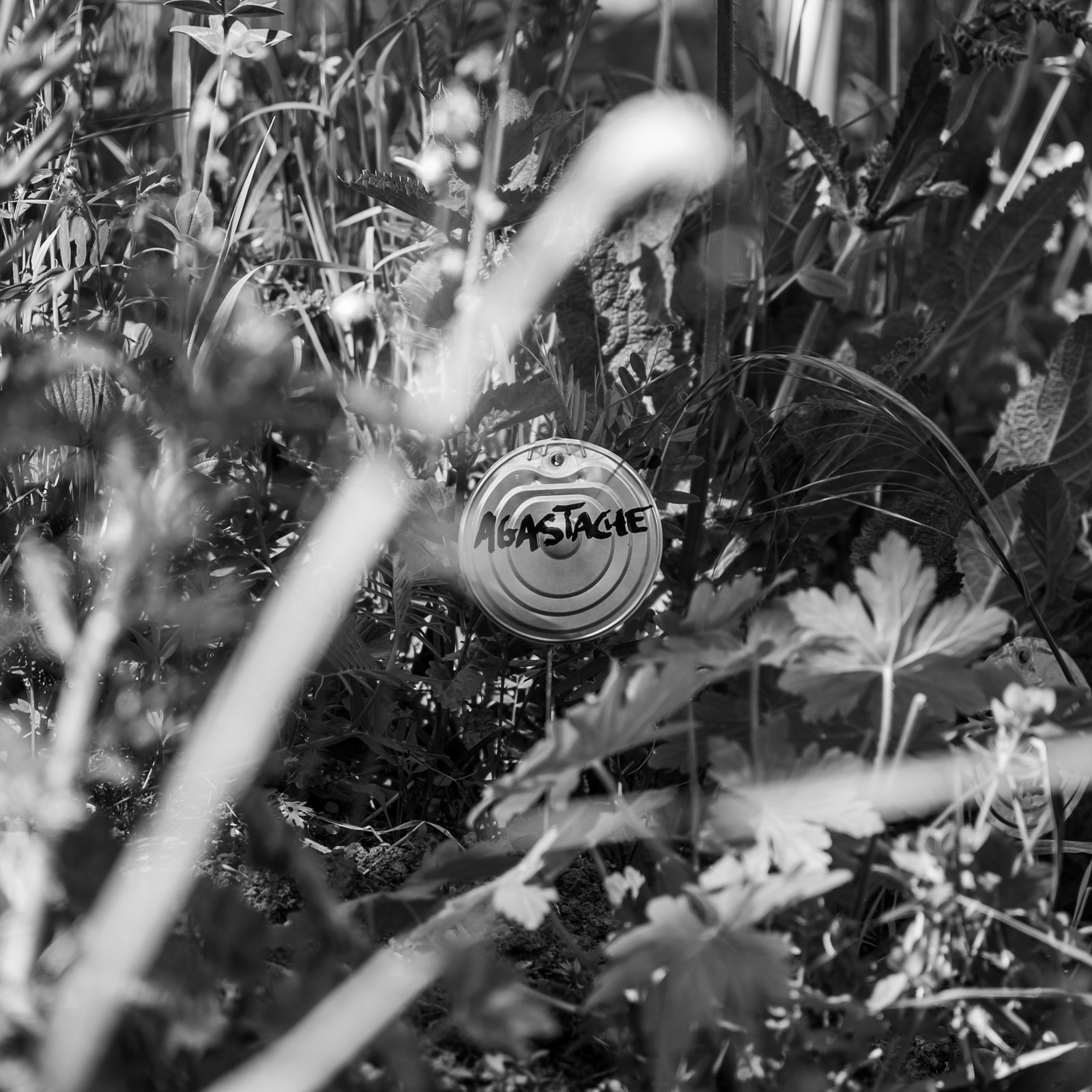 16 mai 2025 : Journée des aidants