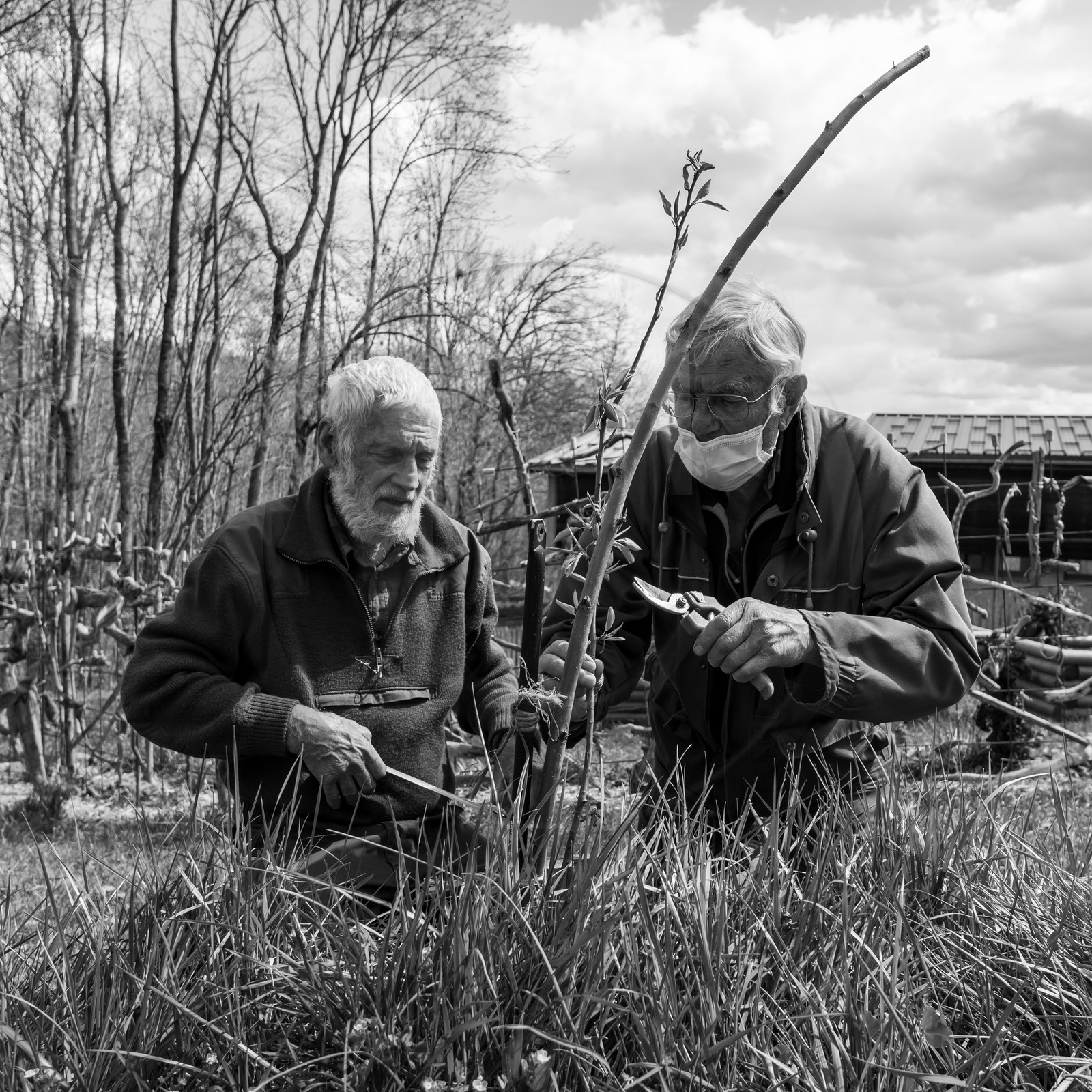 14 avril 2021 : collages, taille, jardinage