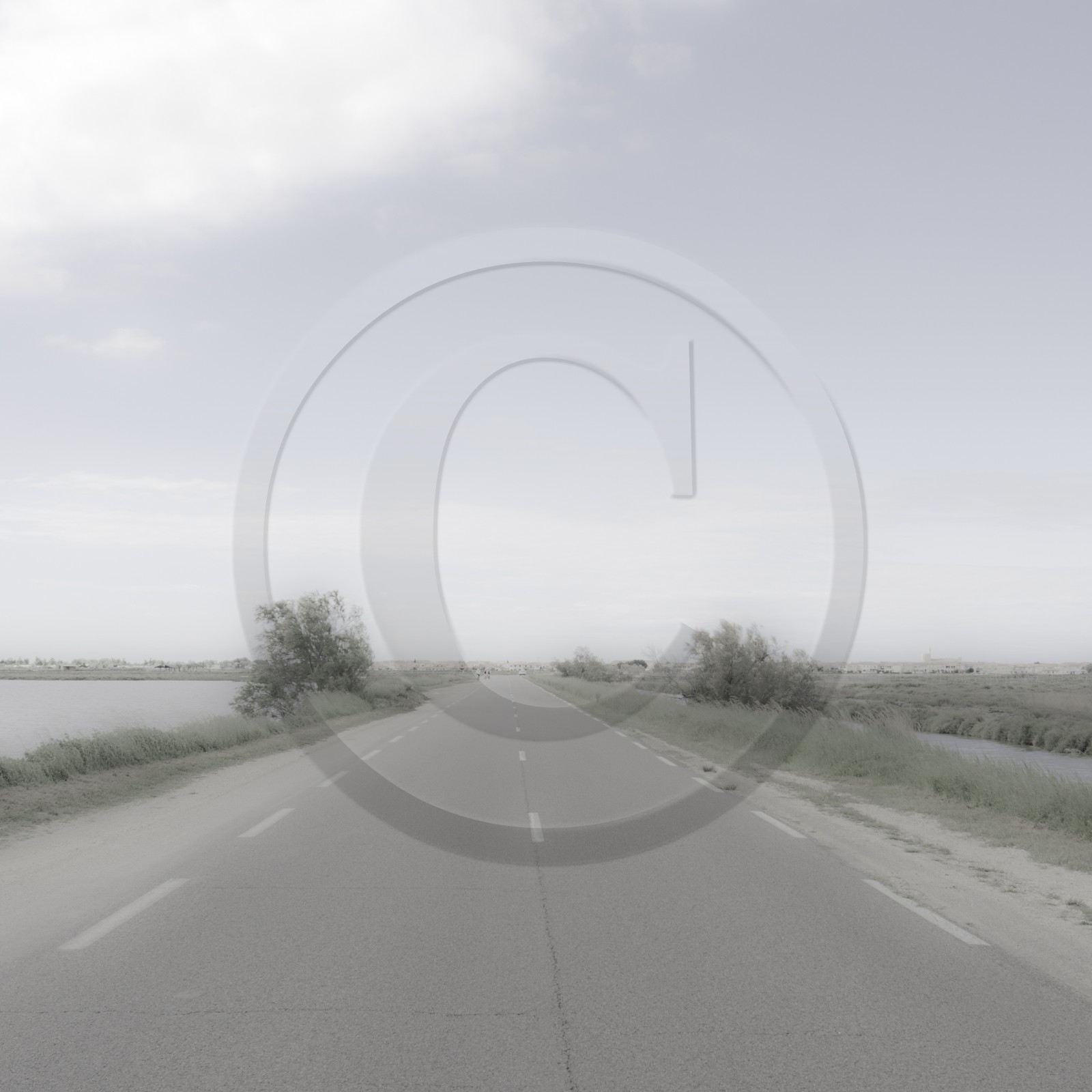 Camargue couleur pastel