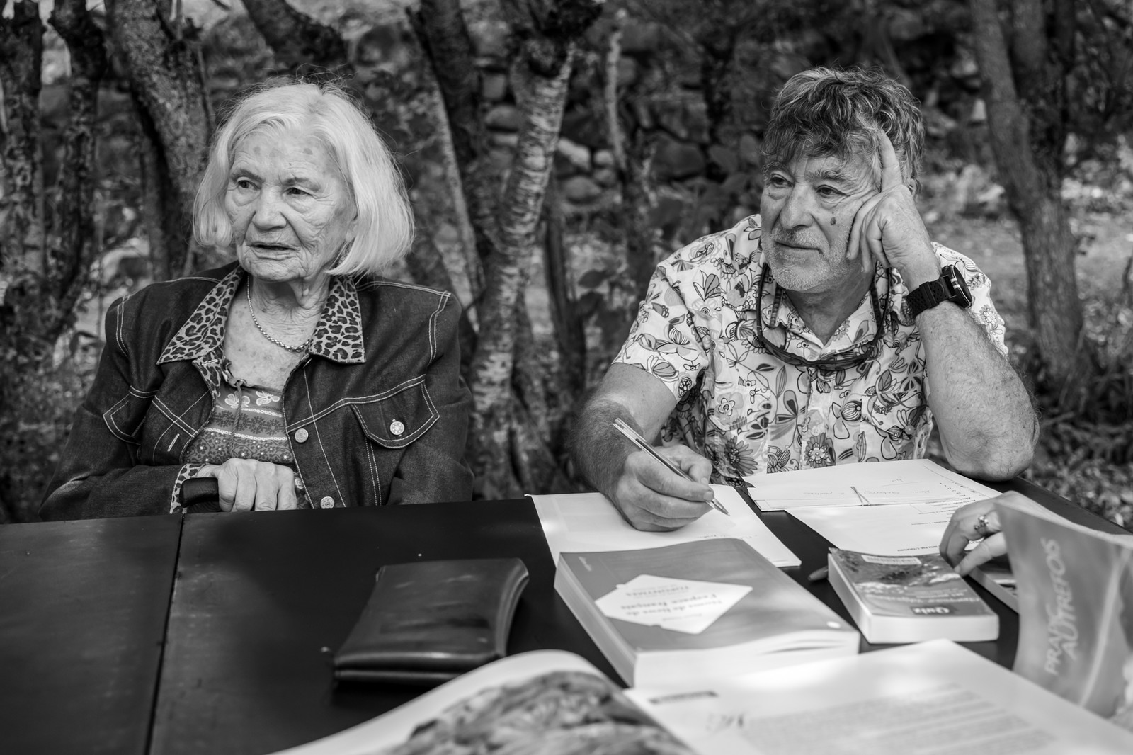 Le Noyer, village champsaurin