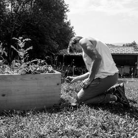 14 juin 2017 - Pose de la clôture