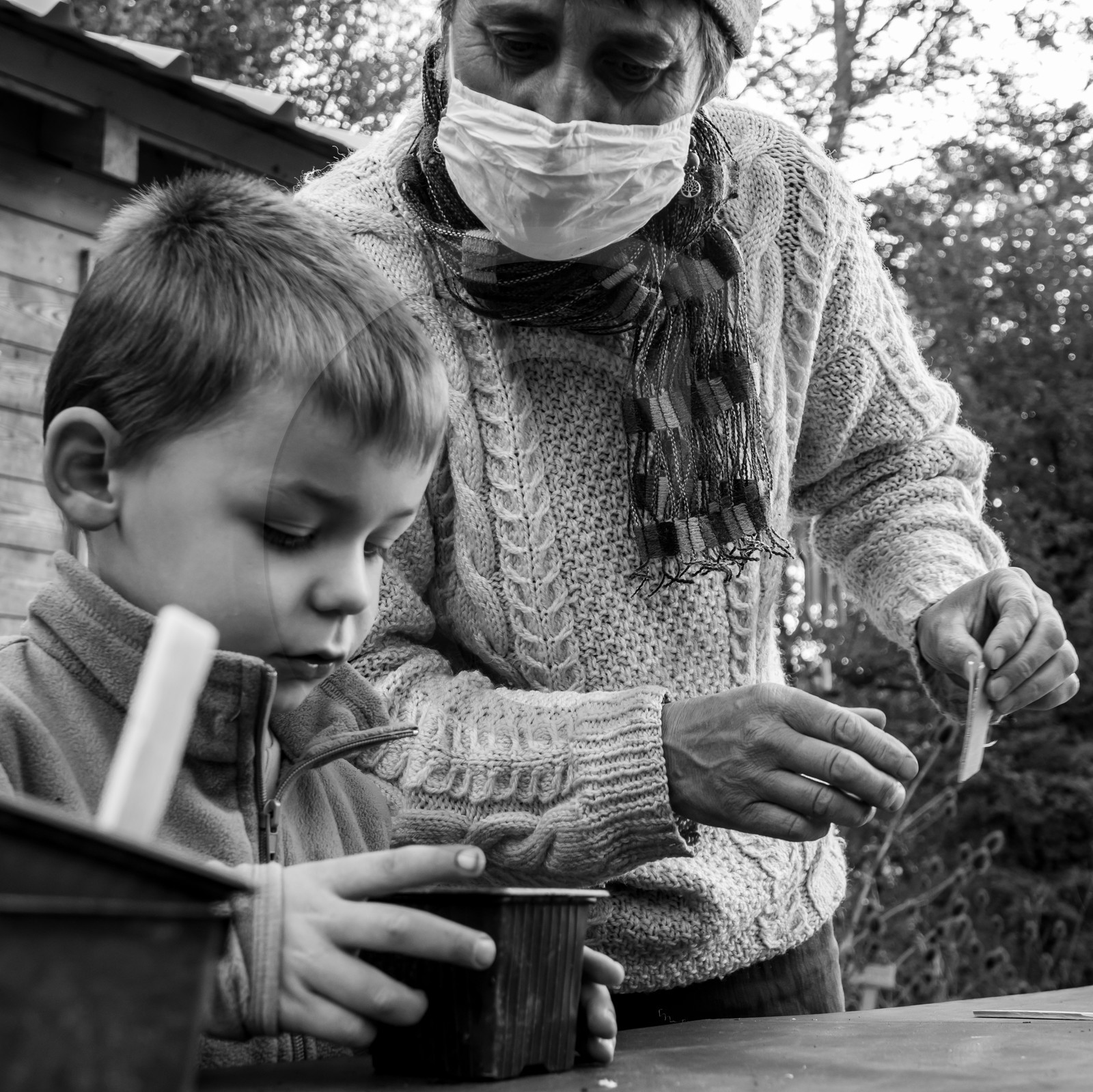 Semis, tournesols et jeux