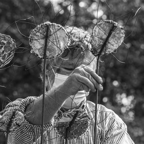 Fabrication de tournesols