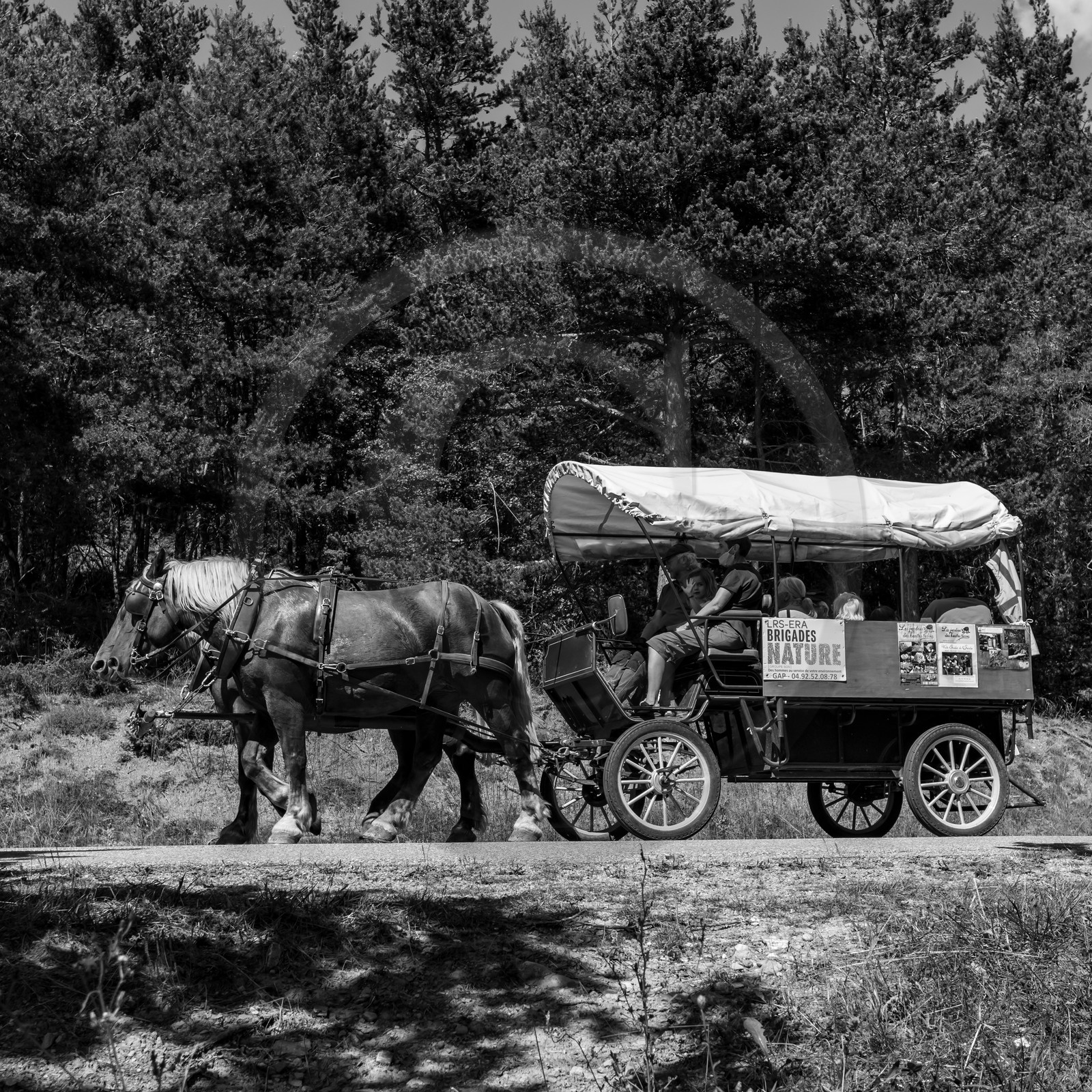 01 septembre 2021 : Promenade en cariole et contes