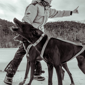 La Valgaude Traineau 2015