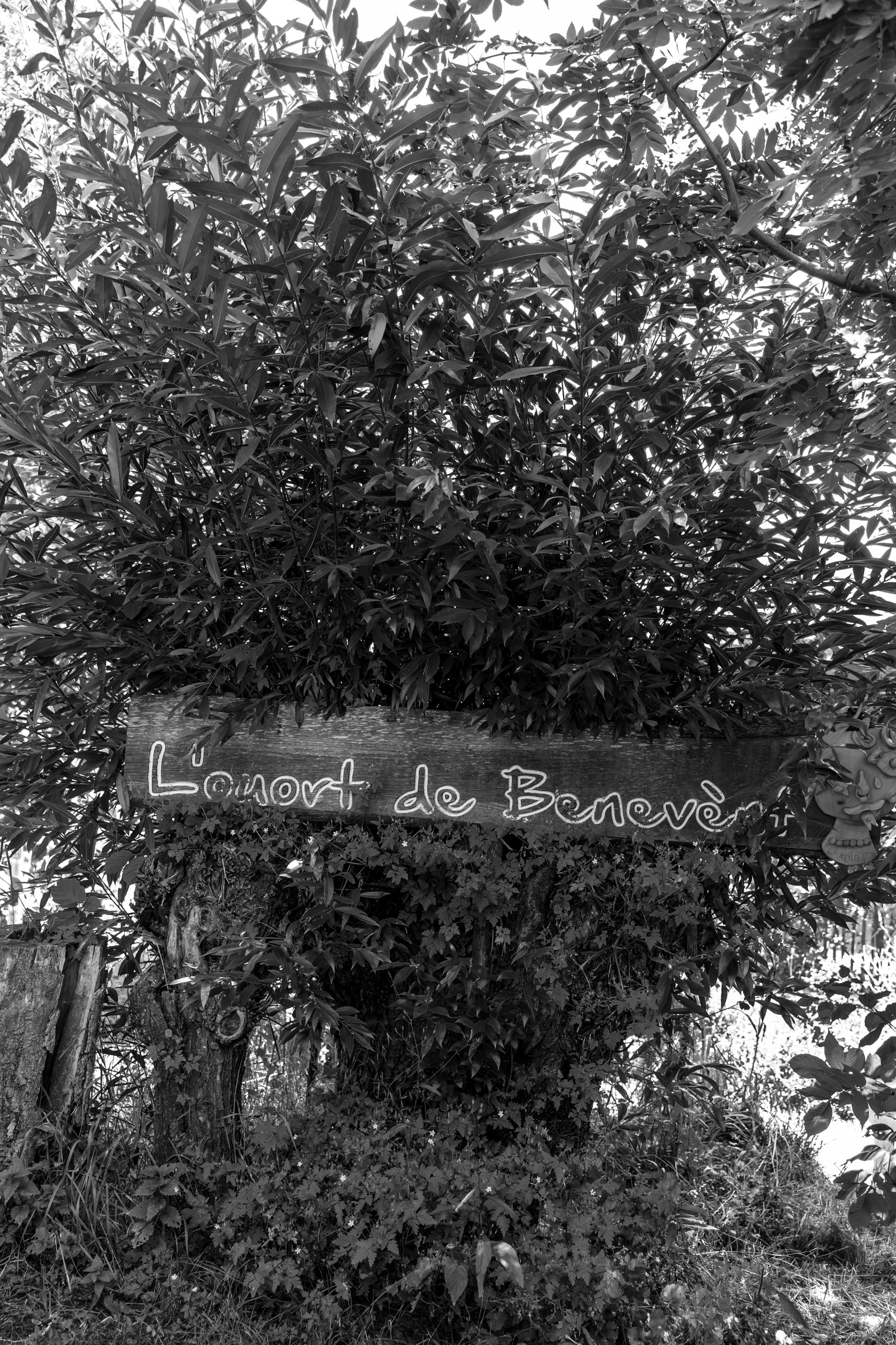 16 juillet 2025 : Les Triplettes