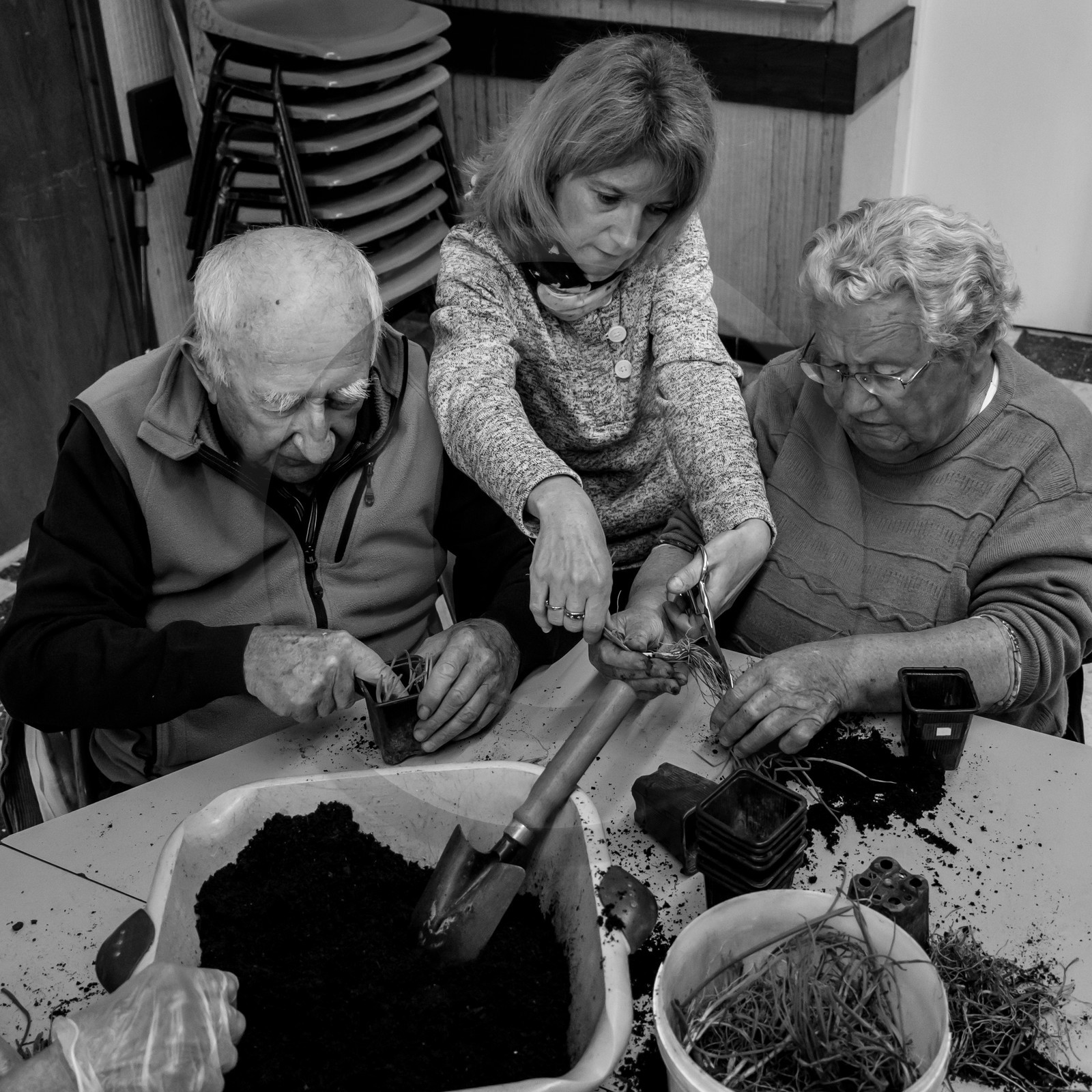 L'Ouort de Bénévent - 05 avril 2017