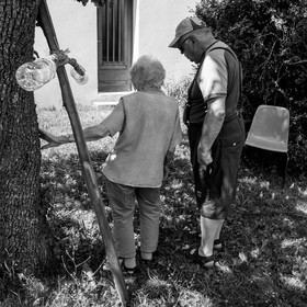 21 juin 2017 - Installation des épouvantails