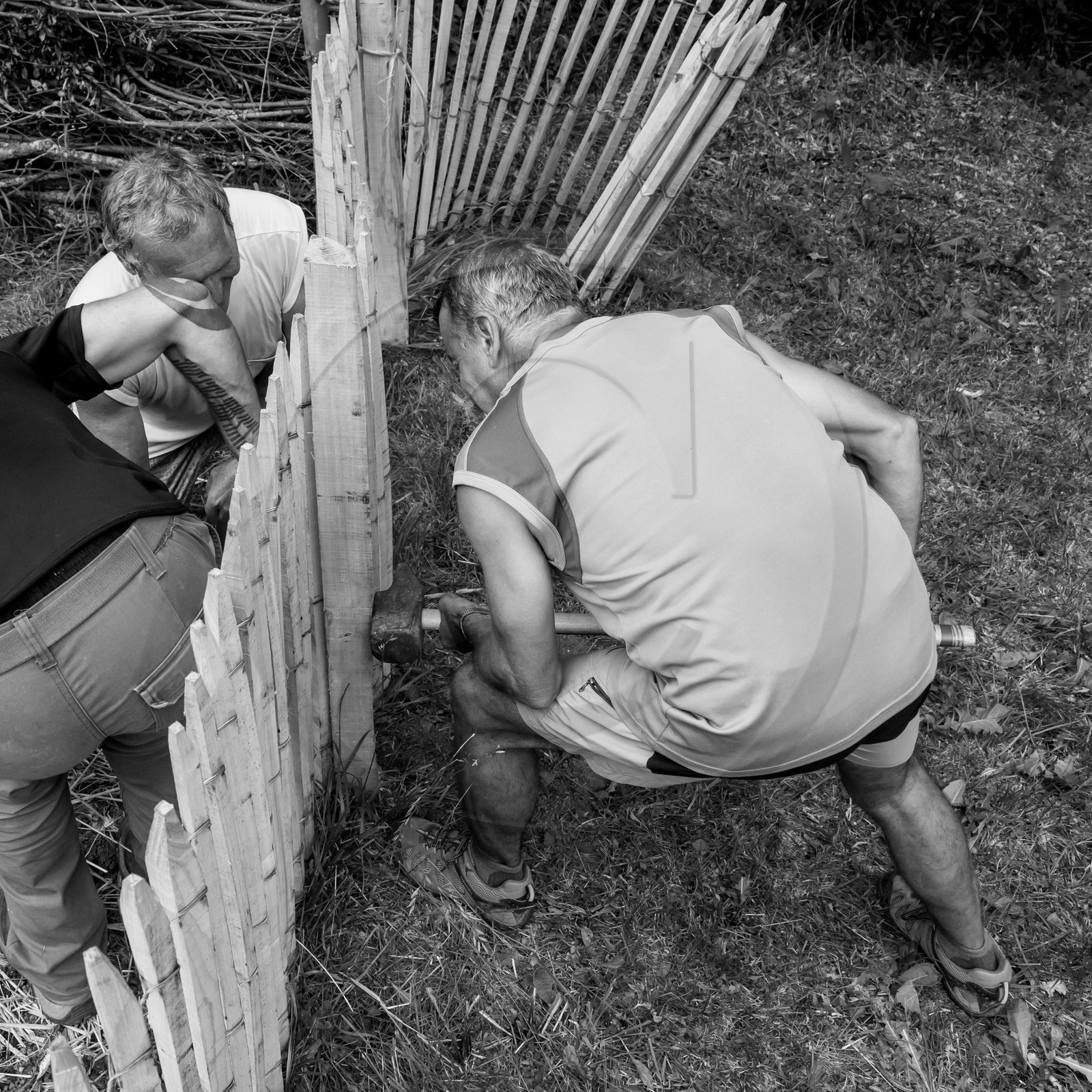 14 juin 2017 - Pose de la clôture