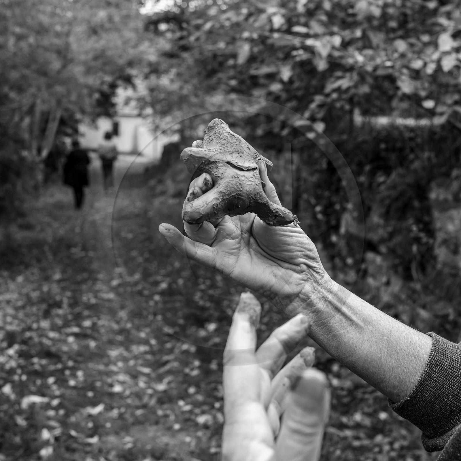 16 octobre 2023 : journée des aidants et des aidés