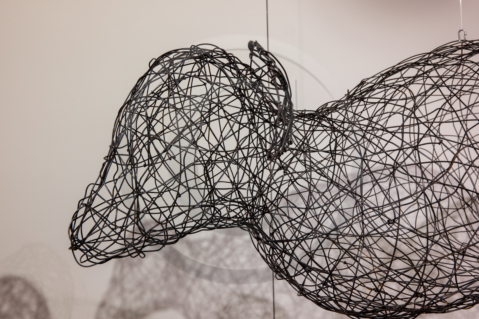 Expositions à la maison du Berger - Champoléon