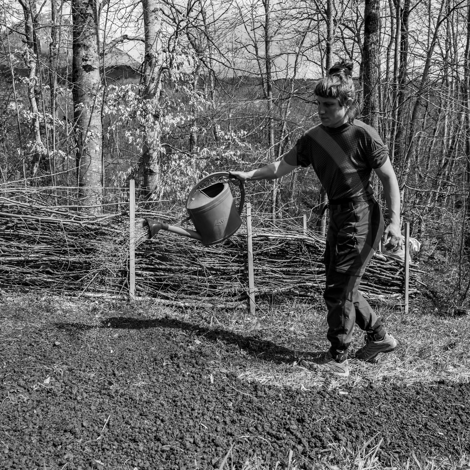 14 avril 2021 : collages, taille, jardinage