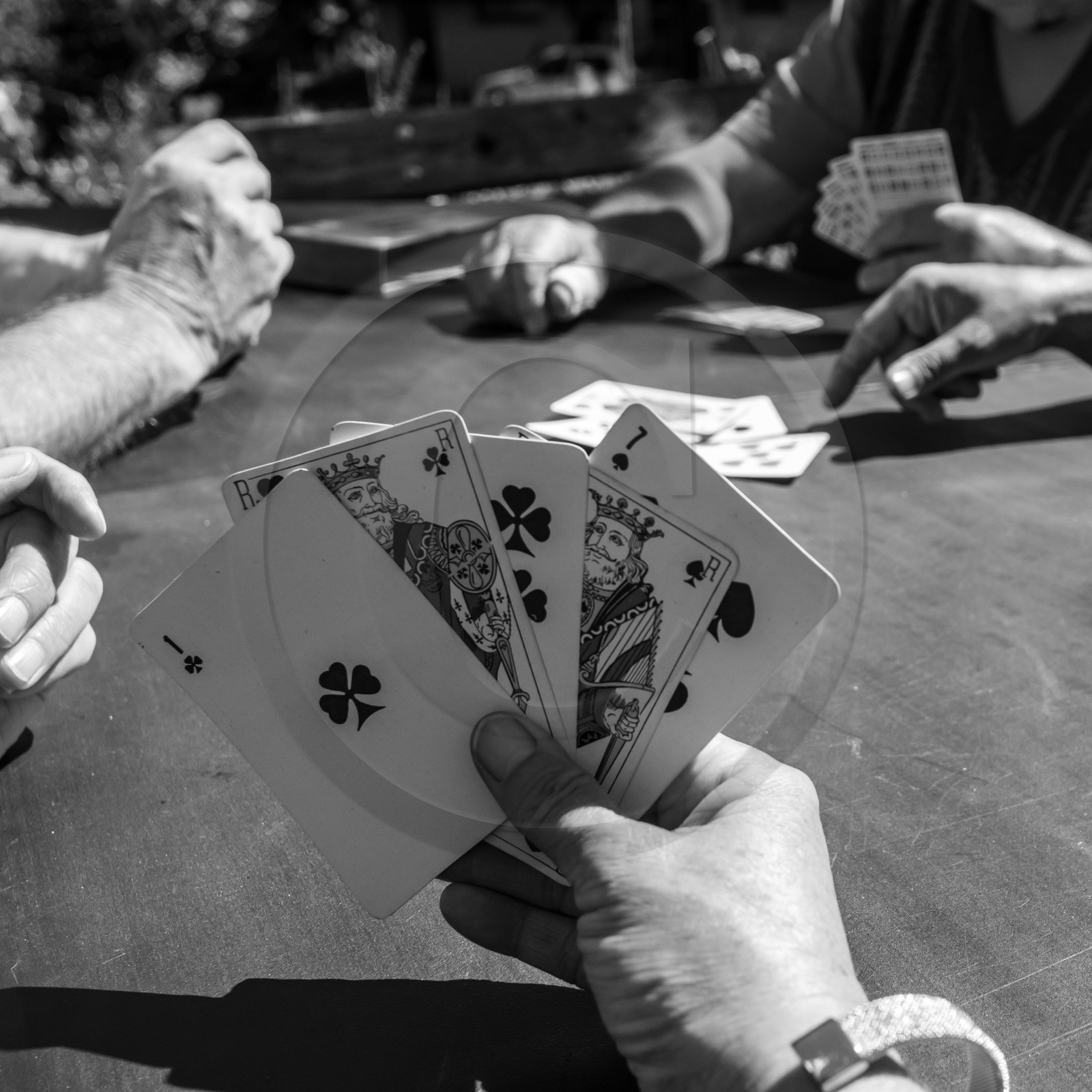 Activités au jardin