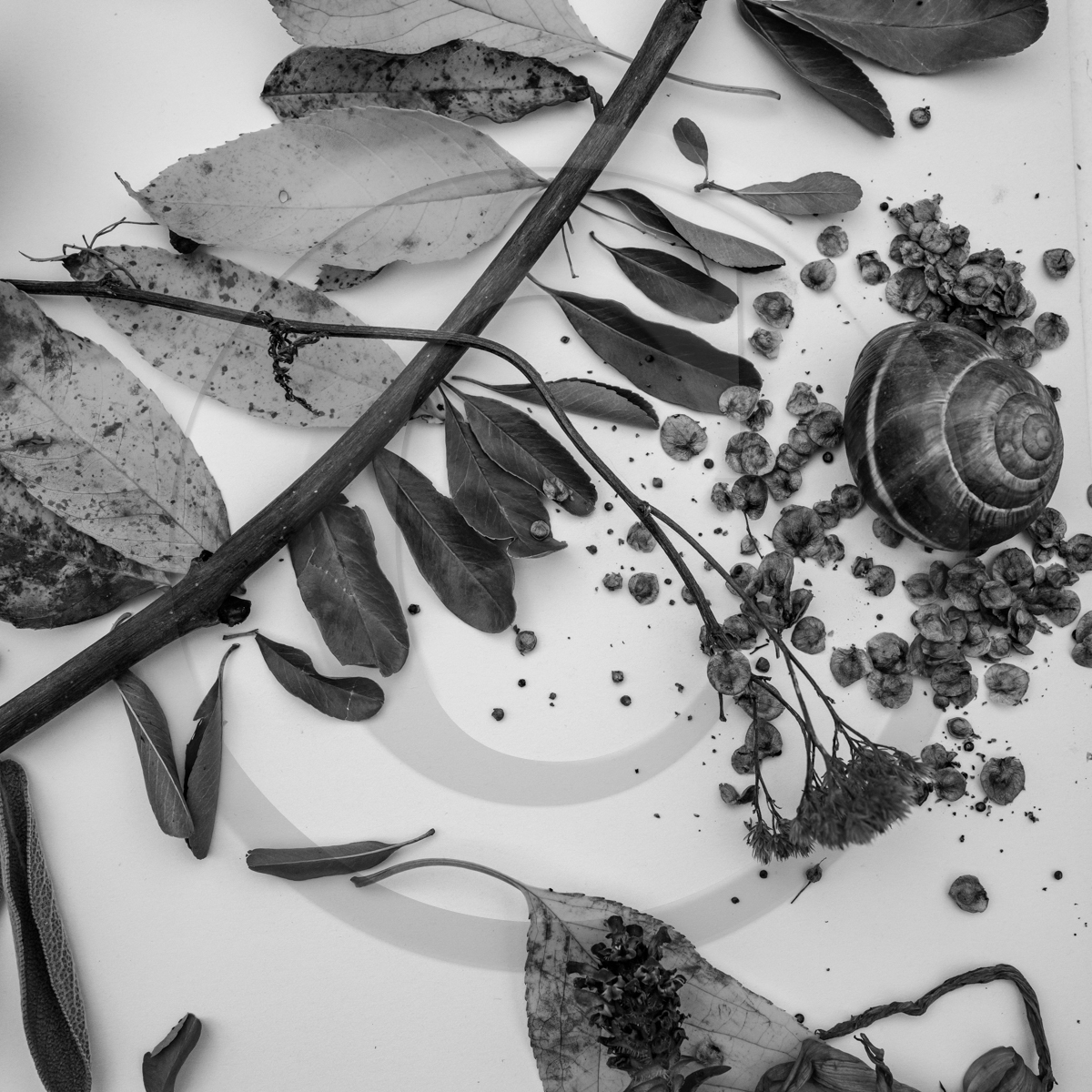 12 octobre 2022 : Land Art à l'Ouort