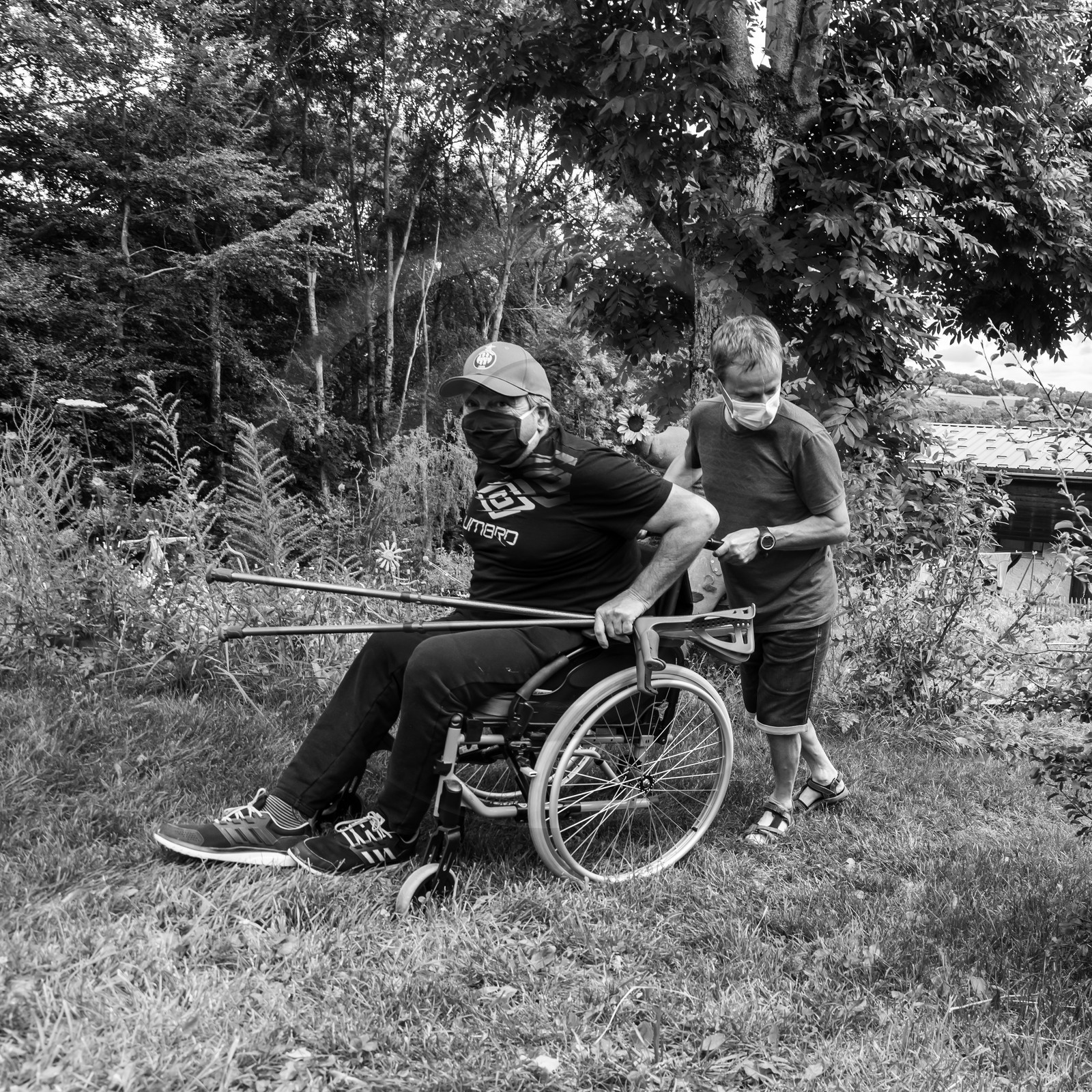 Promenades au jardin