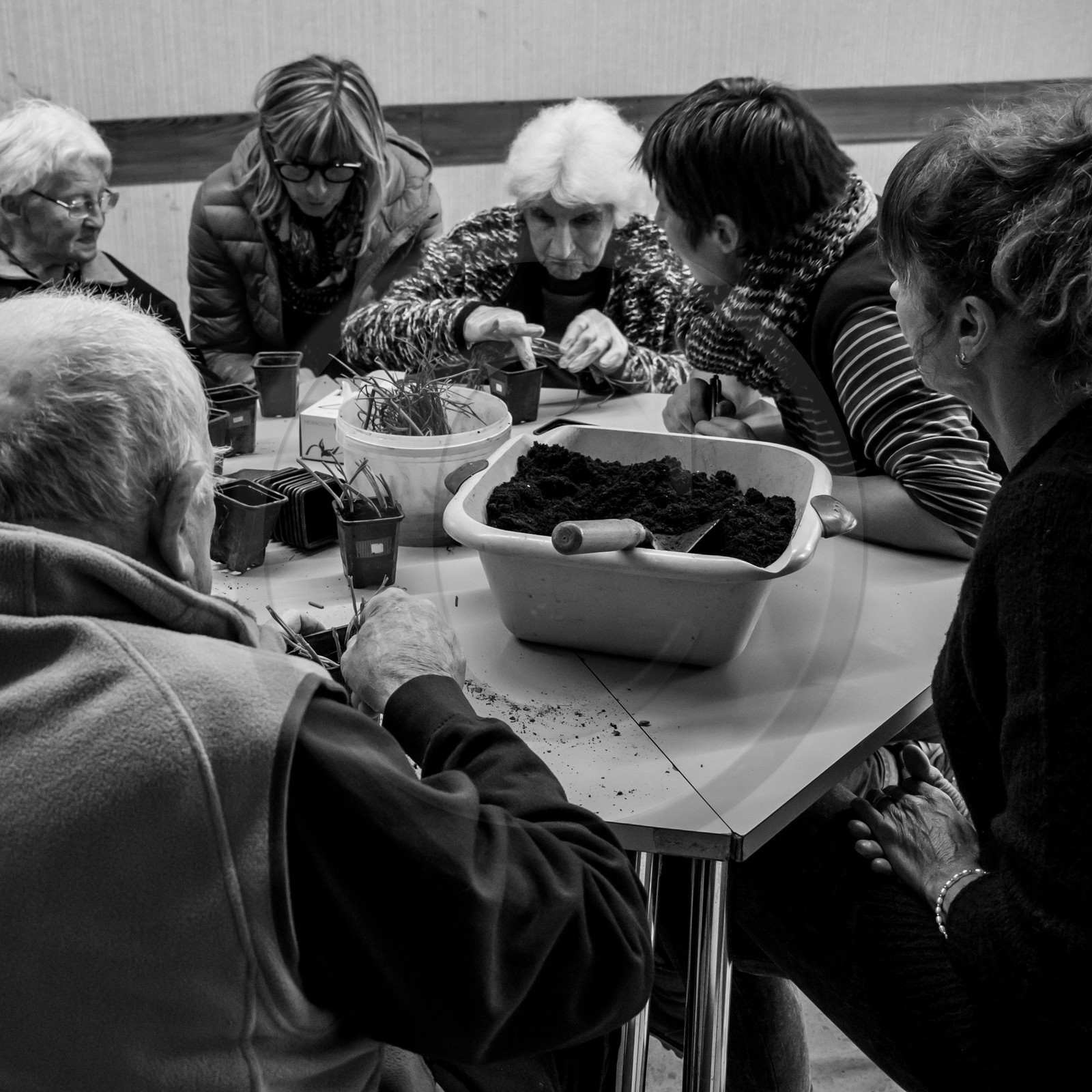 L'Ouort de Bénévent - 05 avril 2017