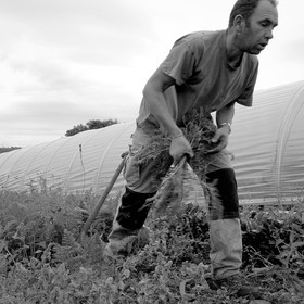 Stéphane Philippe, maraicher à Ancelle