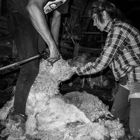 Le mohair arc en ciel